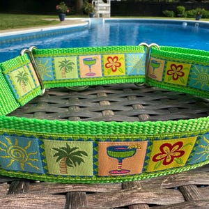 Island Time Martingale Dog Collar