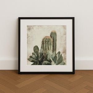 Kaktus Poster – Vintage Pflanzenkunst im Wüstenstil | Hochwertiger Kunstdruck auf Papier für Wohnzimmer, Küche & Flur
