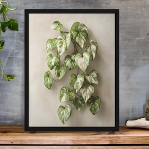 Zimmerpflanzen Poster • Botanische Wanddeko mit herzförmigen Blättern • Pothos /Philodendron Illustration • Minimalistische Naturkunst für