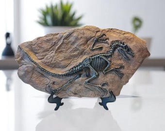 Unique Handmade Anatomy Dinosaur Fossil Replica in Resin — Creative Retro Style Ornament for Desk, Living Room & Entryway, Perfect Gift Idea
