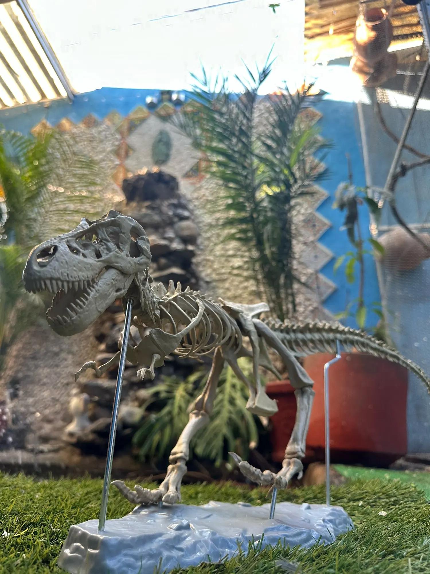 Zalati Kit 12 Squelettes Fossiles Dinosaures – Figurines DIY Éducatives, Idéal Enfants & Jeux Scientifiques Squelette Dinosaure 12 Pièces