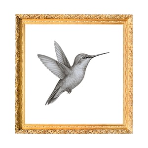 Hummingbird Print, Hummingbird Art, Bird Wall Art, Printable Art