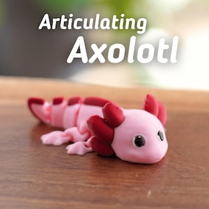 Axolotl articulé Flexi - Joli jouet axolotl imprimé en 3D | Créature articulée agitée