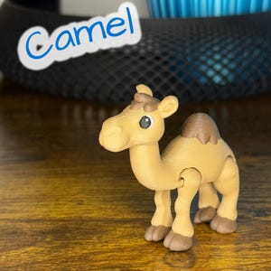 Cranky Camel – Knikspeeltje | Flexibiliteit