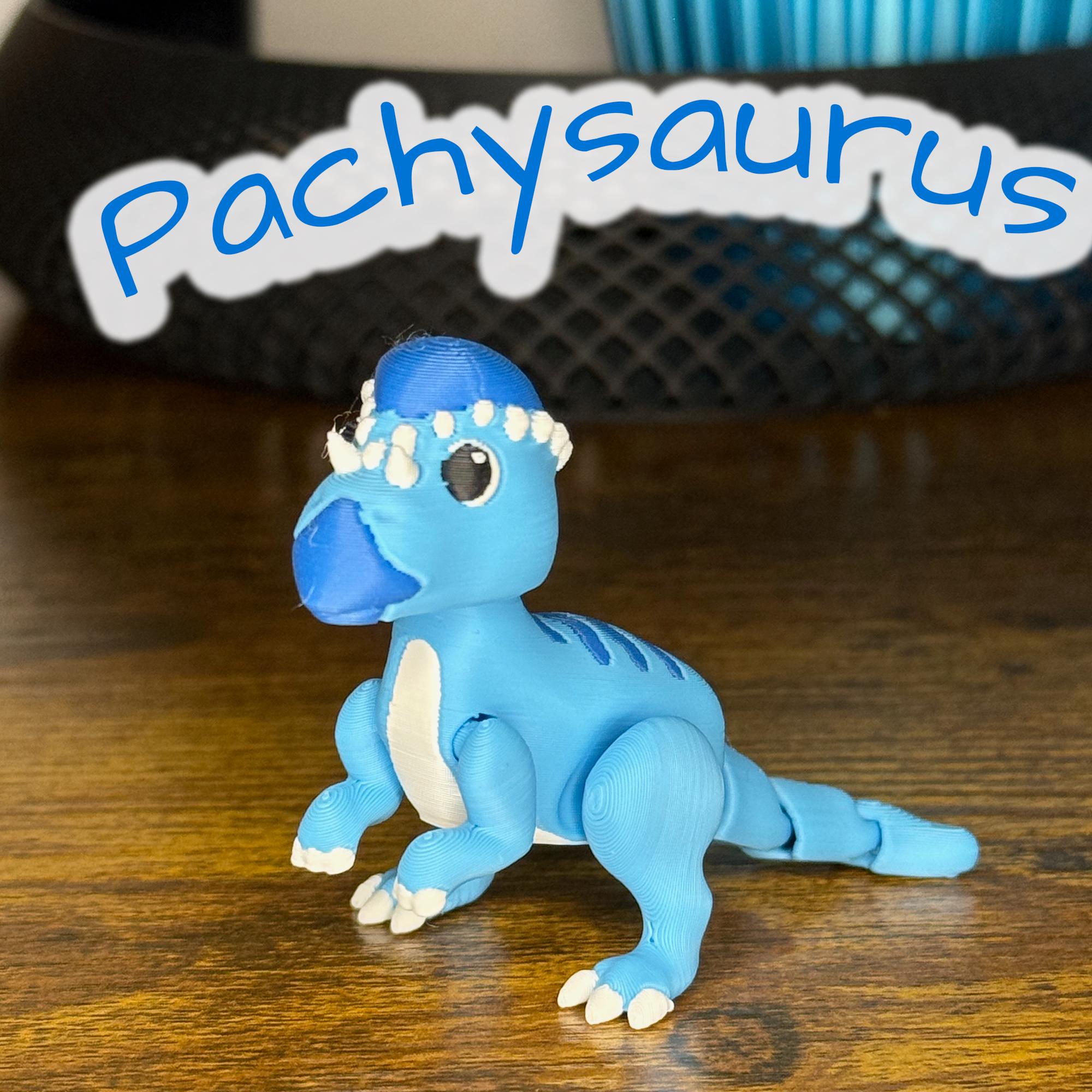 Pachysaurus - Etsy 日本