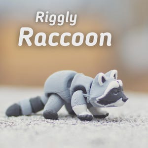 Flexi Gelenk Waschbär - Süßes 3D Gedrucktes Spielzeug | Waschbär Fidget Tier Geschenk