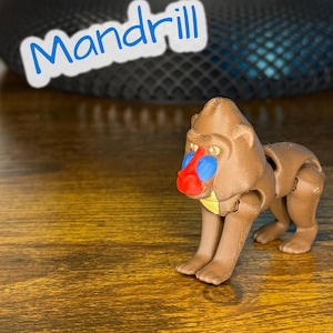 Mad Mandrill – Flexi Articulated Fidget Toy | Bulk Discounts