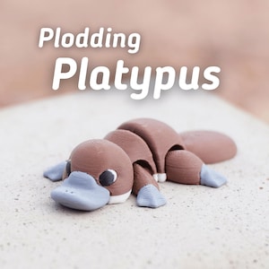 Flexi Articulated Platypus – Cute 3D Printed Toy | Plodding Platypus Fidget Animal Gift