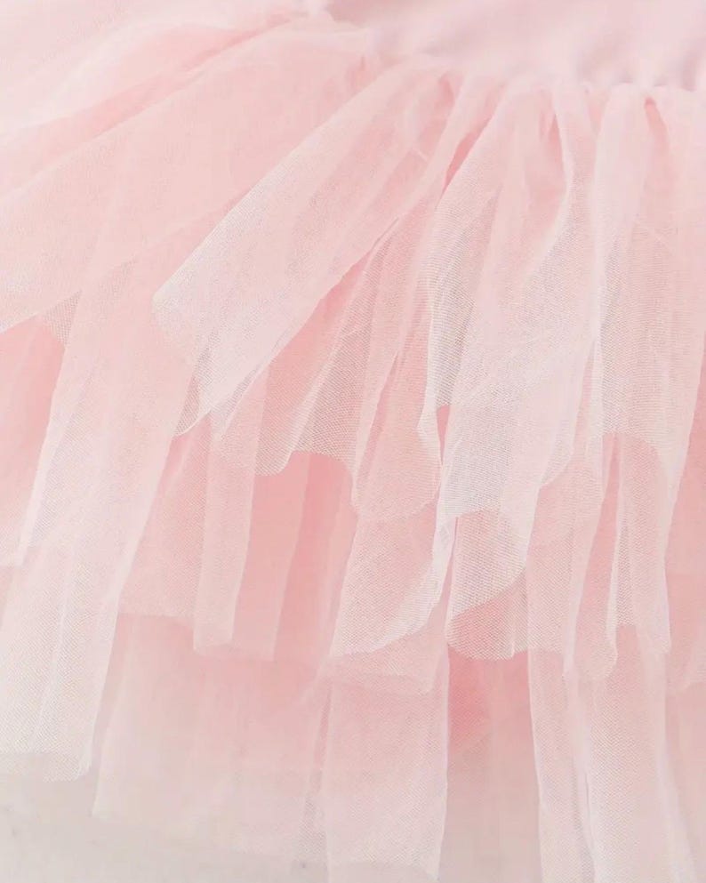 Baby Pink Ruffle Bodice Tutu Dress – Ballet Outfit, Special Occasion ...