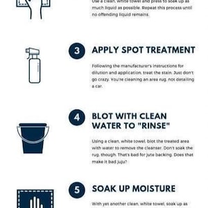 May include: Illustrated guide with six steps for cleaning a rug. Includes images of a brush and scoop, a hand blotting a towel, a spray bottle, a bucket, a hand blotting a towel, and a hair dryer.