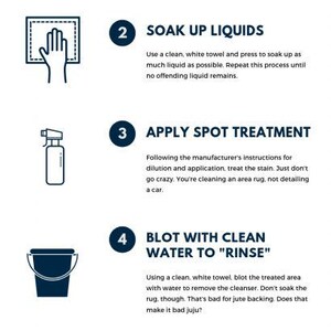 May include: An infographic titled Orian presents 6 Easy Steps for Stain Care, Goodbye Gross Area Rugs. It lists six numbered steps with icons: scoop solids, soak liquids, apply spot treatment, blot with water, soak moisture, and dry thoroughly.