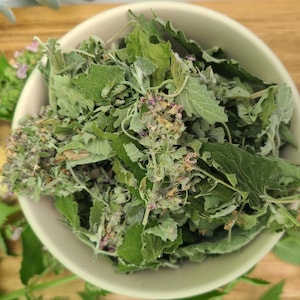 Dried Catnip Catmint - 2025 Season - USA Grown - Nepeta cataria