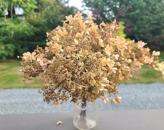 Dried Hydrangea Flowers and Stems - Bouquet - Rustic Decor - Old Fashioned