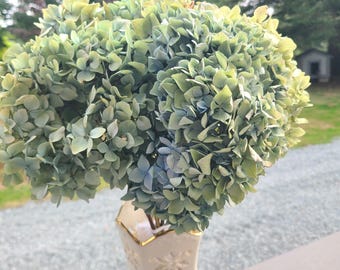Dried Hydrangea Flowers and Stems - 4 Piece Bouquet - Rustic Decor