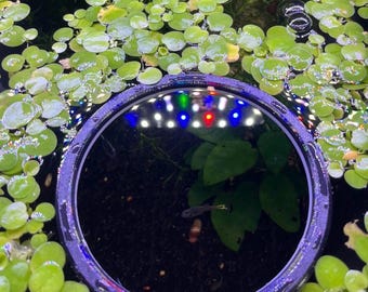 Floating Aquarium Plant Rings
