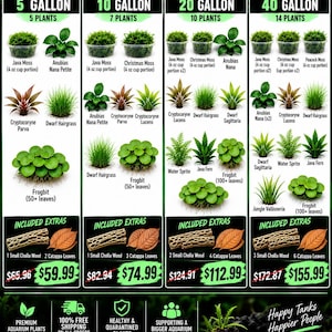 Może przedstawiać: Infografika zatytułowana 10 Gallon Fish Tanks Neocaridina Shrimp Plant Buddy Bundles. Przedstawia cztery pakiety roślin akwariowych dla zbiorników 5, 10, 20 i 40 galonowych, wymieniając rodzaje roślin, ilości, drewno cholla oraz liście catappa.