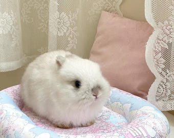Rabbit Bed Supportive Soft Colourful Tough