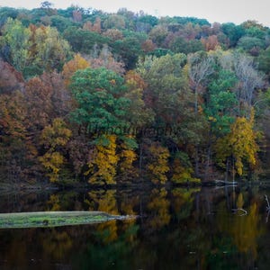Landscape Art Autumn Leaves Autumn Leaves over Lake Fall Leaves Autumn Photography Landscape Photography