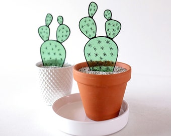 Stained Glass Cactus Plant:Opuntia, Prickly pear co-worker gift