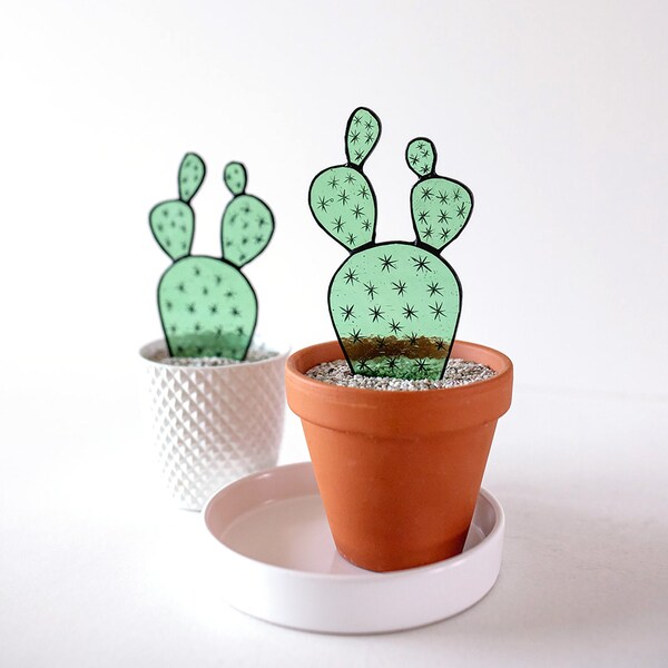 Stained Glass Cactus Plant:Opuntia, Prickly pear co-worker gift