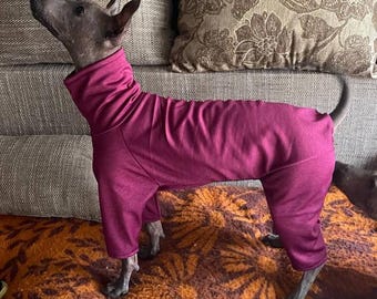 Stretch Summer Dog Jumpsuit: Hairless Breeds, Sports Fabric. All sizes, many colors.