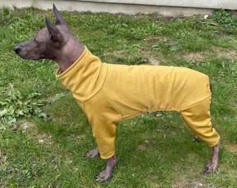 Breathable Dog Jumpsuit: Lightweight Sportswear for Hairless Breeds