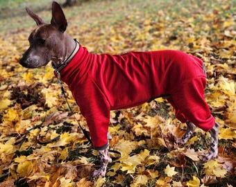 Stretch Dog Tracksuit: Breathable Sports Fabric - Hairless Breeds