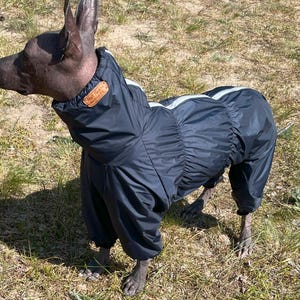 Waterproof and Windproof Warm Raincoat with Fleece Lining. Best for Hairless Breeds like Xoloitzcuintli, Peruvian and AHT