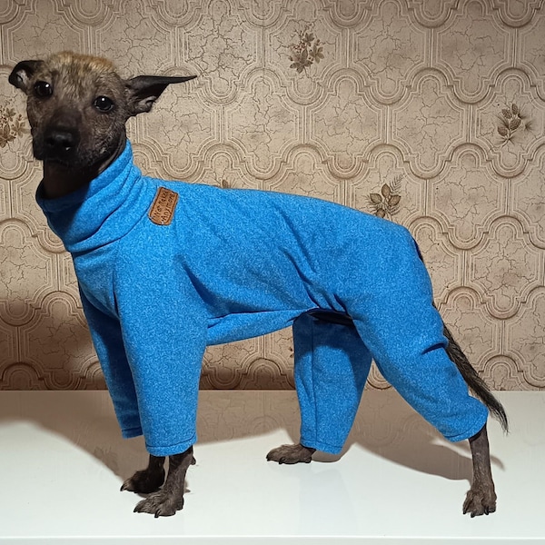 Chándal elástico para perros: Polar catiónico deportivo transpirable para razas sin pelo