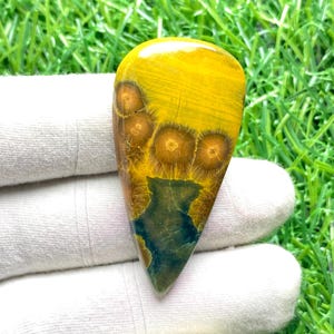 研磨済みオーシャンジャスパー平面石：ユニークな多色球形宝石。（42カラット、43x20x5mm）