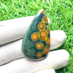 以下が含まれることがあります： 磨かれた涙型の宝石。石は、オレンジと黄色の円形の模様を持つ濃い緑色のベースを持っています。白い手袋をはめた手で持っており、背景は緑の草です。ジュエリー作りに適しています。