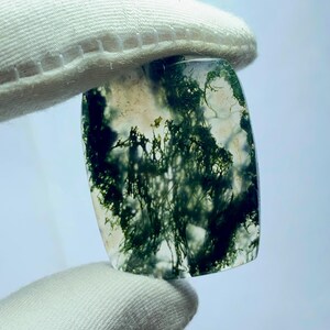 May include: A polished, rectangular moss agate gemstone. The translucent stone features intricate, dark green, tree-like inclusions against a clear background. The stone is held by a gloved hand, showcasing its natural beauty.