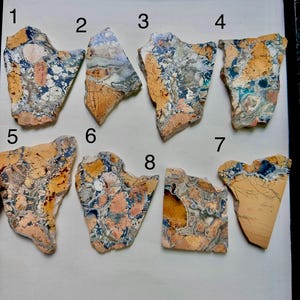 May include: Eight irregular, flat stone slabs labelled with numbers one through eight. Each piece features a complex, multi-coloured pattern of tan, beige, blue, and white mineral inclusions with varied textures, jagged edges, and unique organic shapes.