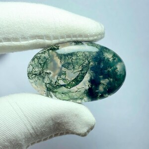 May include: An oval-shaped moss agate gemstone. The stone features a translucent base with intricate green, tree-like inclusions. The gemstone is held by a gloved hand against a white background, highlighting the natural patterns and colors.
