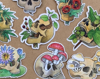 Memento Psychotropica Skull Plant Stickers, Botanical Art