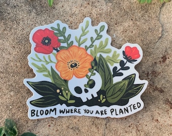 Bloom Where You Are Planted - botanical skull Sticker, dark cottagecore, ominous positivity goblincore gift