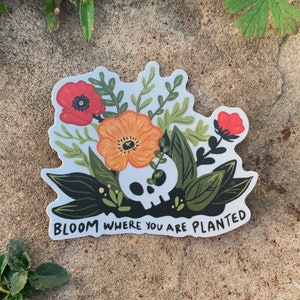 Sticker of poppies blooming out of a skull with the handwritten text Bloom Where you are Planted