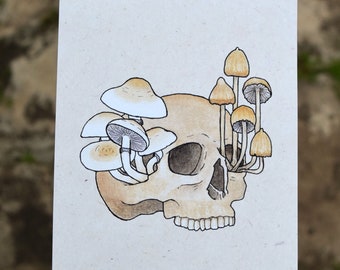 Skull with Magic Mushrooms watercolor print, DEADHEAD - Psilocybe cubensis, mexicana Vintage Scientific Illustration, Botanical wall art
