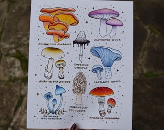 Mushroom Flash Sheet print - traditional tattoo style fall fungi wall art