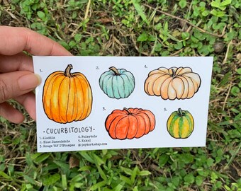 Pumpkin sticker sheet, Cucurbitology, Halloween decor,