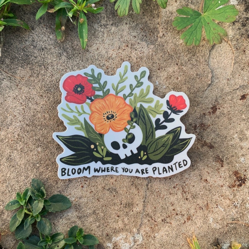 Sticker of poppies blooming out of a skull with the handwritten text Bloom Where you are Planted