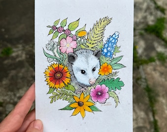 Opossum Watercolor Painting Print – Texas Wildflower Botanical Art