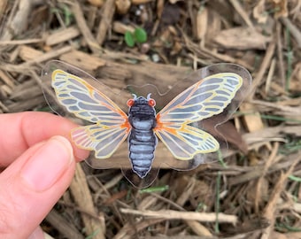 Periodical Cicada - BroodX sticker