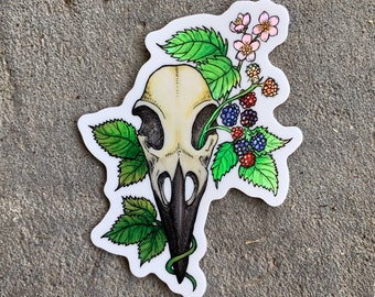 Raven skull with blackberries - Holographic sticker, scientific illustration, Corvus corax