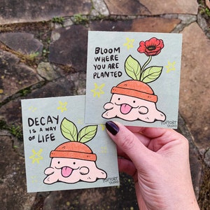 May include: Two illustrated cards with a green background and a cartoon character. The character is a pink blob with a brown pot on its head and a green sprout growing out of the pot. The text on the cards reads "Bloom where you are planted" and "Decay is a way of life".