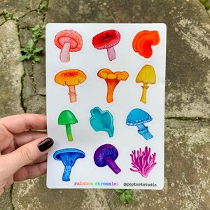 Foglio adesivo fungo arcobaleno - Contorni chiari, Mushroomcore, Arte botanica, Idee regalo natura