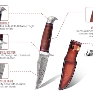 May include: A handcrafted knife with a detailed eagle-faced handle, stainless steel bolster, and a Damascus steel blade. The knife features a walnut wood handle and comes with a stag embossed leather sheath.