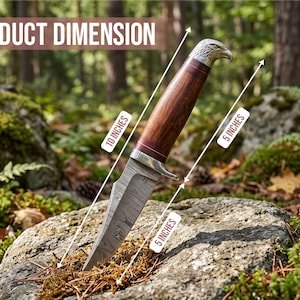 May include: A decorative knife with a 10-inch handle and a 5-inch blade. The handle is brown with a silver eagle head design. The blade has a patterned design. The knife is displayed on a rock in a forest setting.