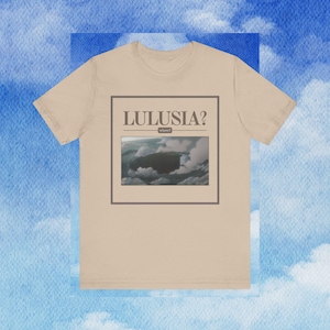 Lulusia Shirt, One Piece anime shirt, One Piece merch, Luffy, Zoro, Ace, Sanji, Nami, Unisex Shirt, Anime Shirt