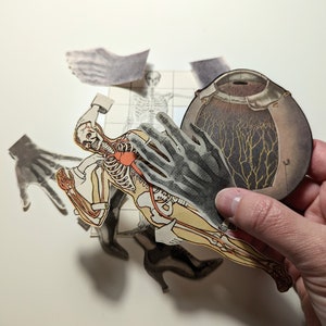 Anatomie Medizinische Illustrationen DRUCKBAR Set 4 ~ ~ Print-at-Home-Set mit 9 Abbildungen und Röntgenbildern von Körperteilen